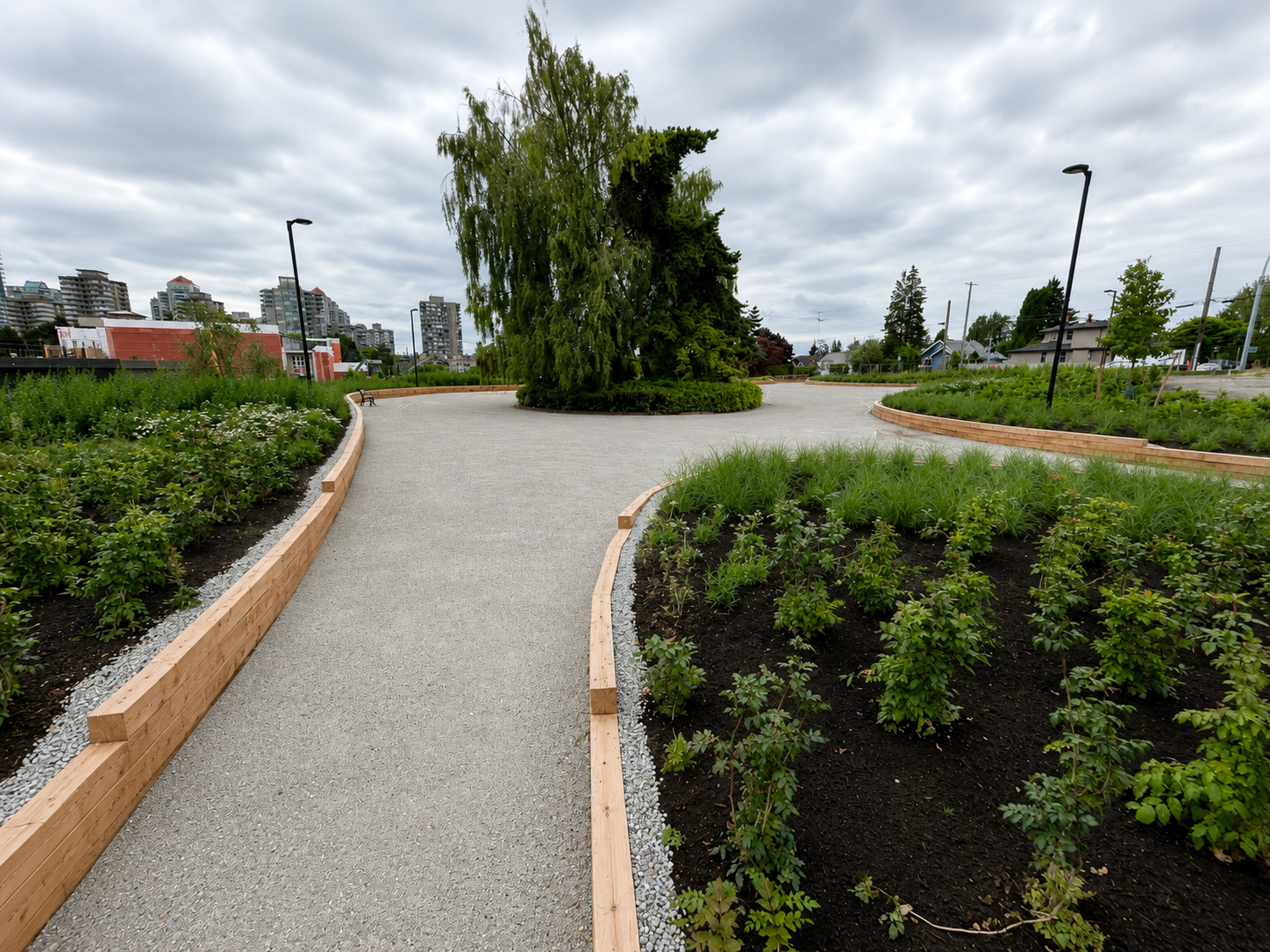 Timber-edged pathways with planted beds and central tree
